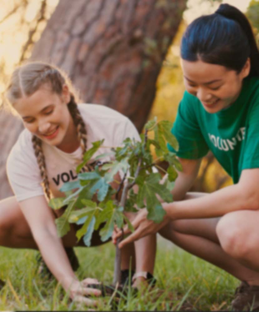 Two volunteers planting a tree, symbolizing CSR-DEI Solutions efforts for social and environmental impact