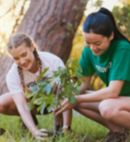 Two volunteers planting a tree, symbolizing CSR-DEI Solutions efforts for social and environmental impact